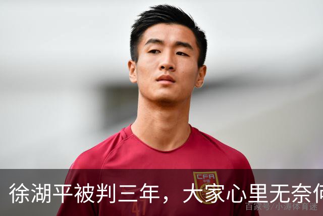徐湖平被判三年，大家心里无奈何？