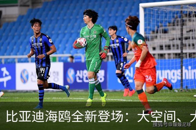 比亚迪海鸥全新登场：大空间、大动力，炫酷升级迎接未来！